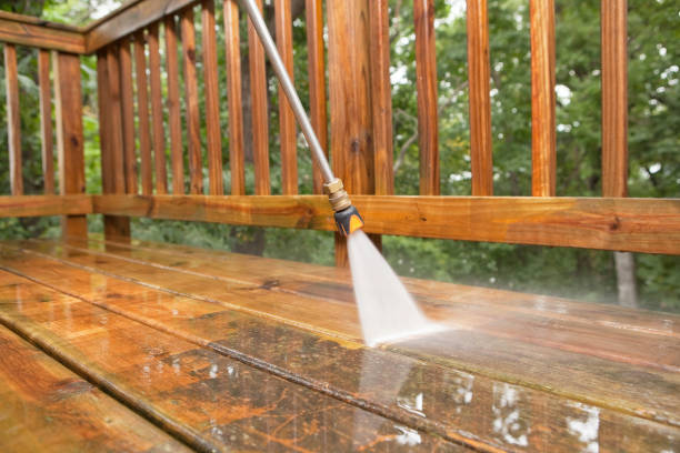Best Fence Cleaning  in Carmel, IN